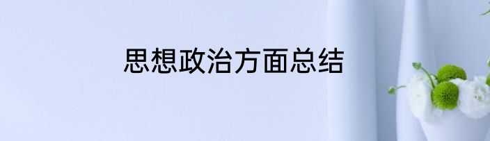 思想政治方面总结