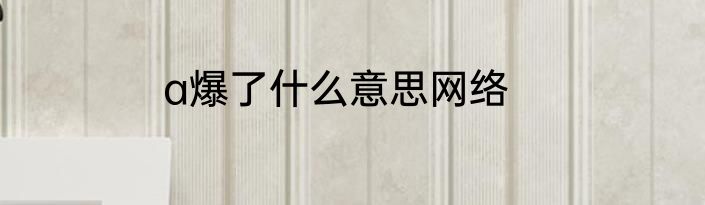 a爆了什么意思网络