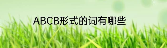ABCB形式的词有哪些