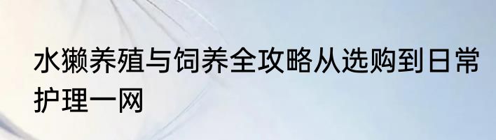 水獭养殖与饲养全攻略从选购到日常护理一网