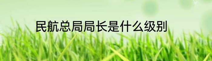 民航总局局长是什么级别
