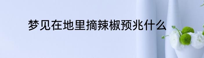 梦见在地里摘辣椒预兆什么