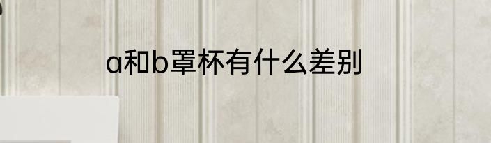 a和b罩杯有什么差别