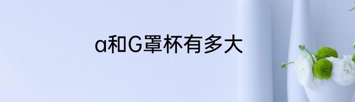 a和G罩杯有多大