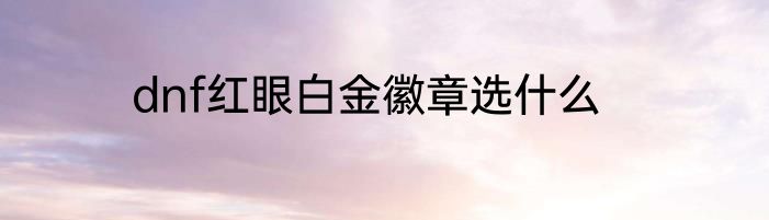 dnf红眼白金徽章选什么