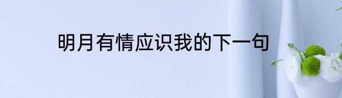 明月有情应识我的下一句