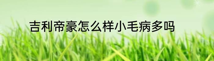 吉利帝豪怎么样小毛病多吗