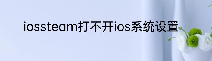 iossteam打不开ios系统设置