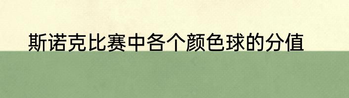 斯诺克比赛中各个颜色球的分值