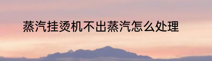 蒸汽挂烫机不出蒸汽怎么处理