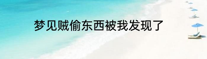 梦见贼偷东西被我发现了