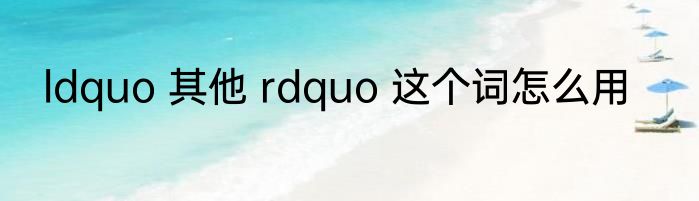ldquo 其他 rdquo 这个词怎么用