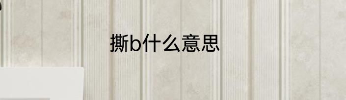 撕b什么意思