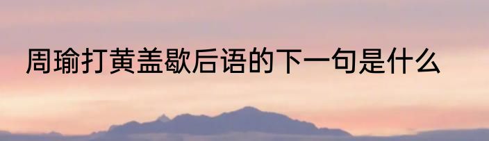 周瑜打黄盖歇后语的下一句是什么
