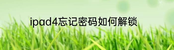 ipad4忘记密码如何解锁