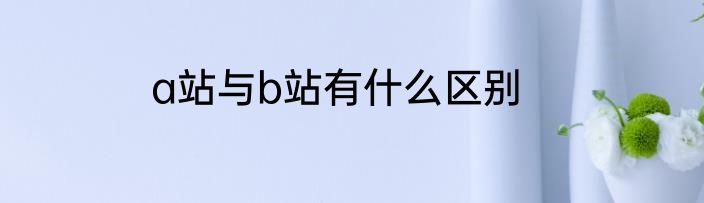 a站与b站有什么区别