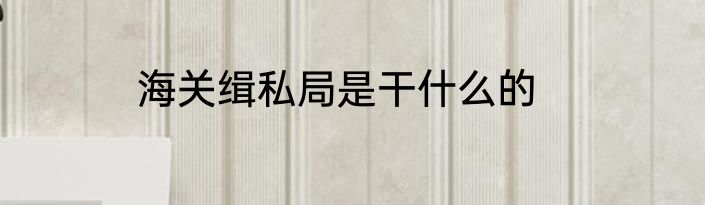 海关缉私局是干什么的