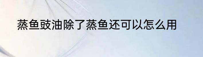蒸鱼豉油除了蒸鱼还可以怎么用