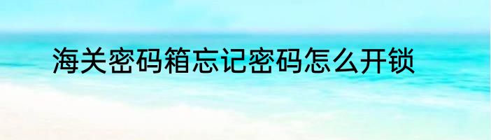 海关密码箱忘记密码怎么开锁