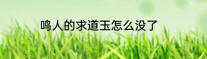 鸣人的求道玉怎么没了