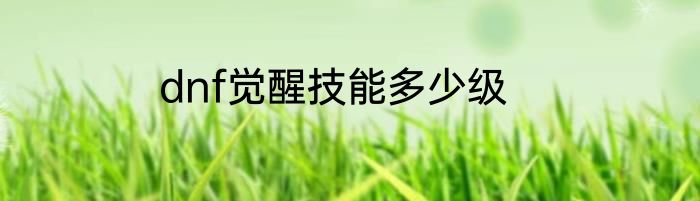 dnf觉醒技能多少级