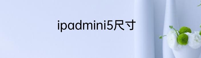 ipadmini5尺寸