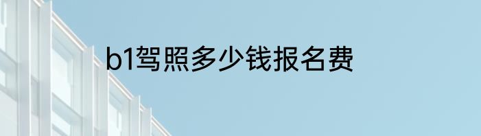 b1驾照多少钱报名费
