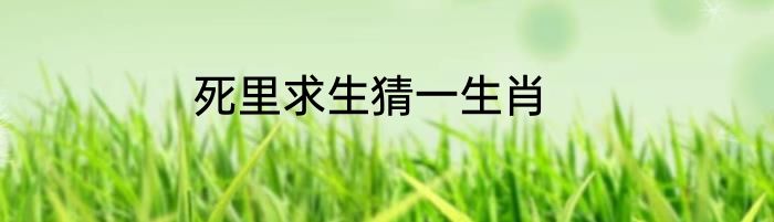 死里求生猜一生肖
