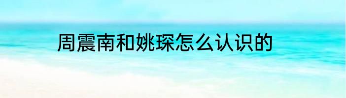 周震南和姚琛怎么认识的