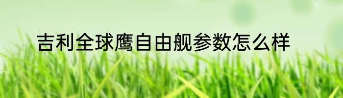 吉利全球鹰自由舰参数怎么样