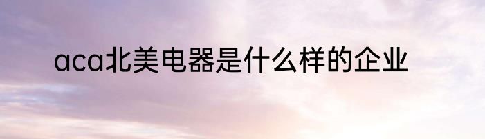 aca北美电器是什么样的企业