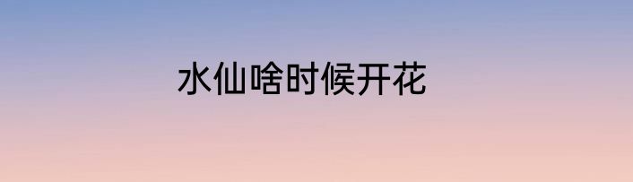 水仙啥时候开花