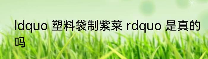 ldquo 塑料袋制紫菜 rdquo 是真的吗