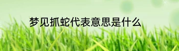 梦见抓蛇代表意思是什么