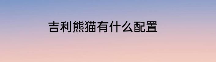 吉利熊猫有什么配置