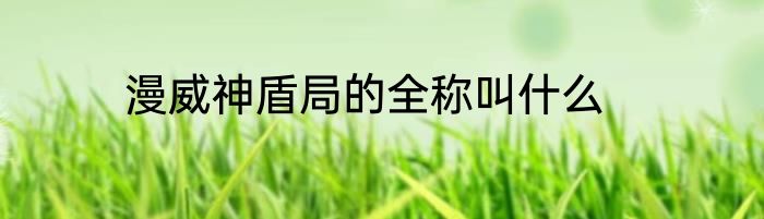 漫威神盾局的全称叫什么