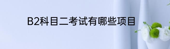 B2科目二考试有哪些项目