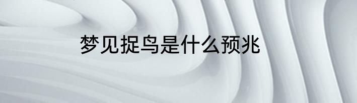 梦见捉鸟是什么预兆