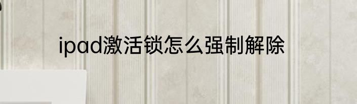 ipad激活锁怎么强制解除