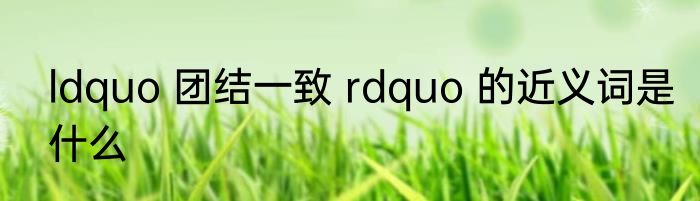 ldquo 团结一致 rdquo 的近义词是什么
