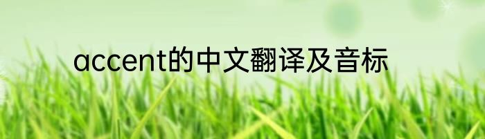 accent的中文翻译及音标