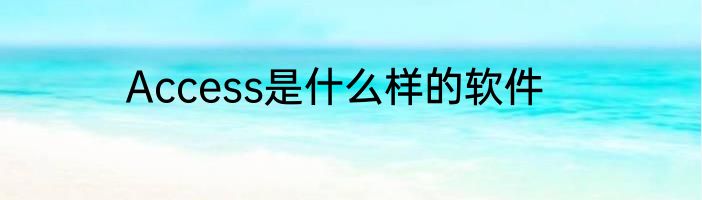 Access是什么样的软件