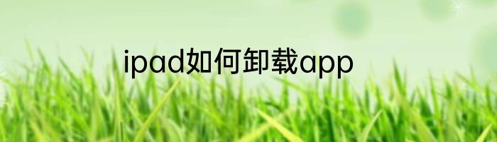 ipad如何卸载app