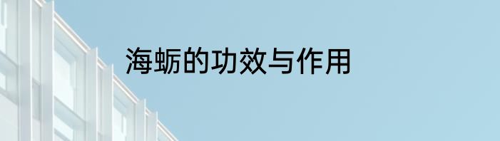 海蛎的功效与作用