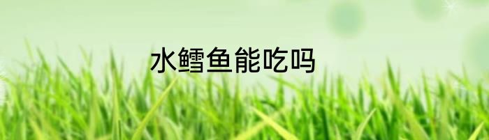水鳕鱼能吃吗