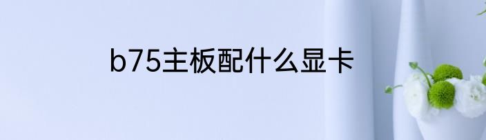 b75主板配什么显卡