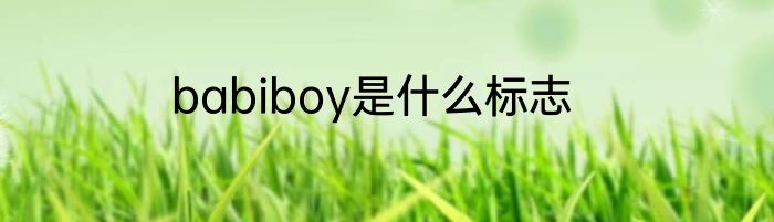 babiboy是什么标志