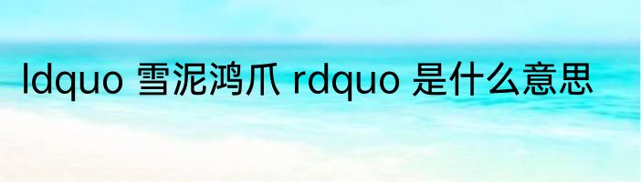 ldquo 雪泥鸿爪 rdquo 是什么意思