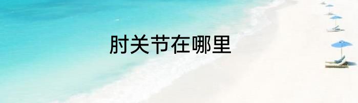 肘关节在哪里