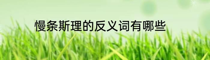 慢条斯理的反义词有哪些